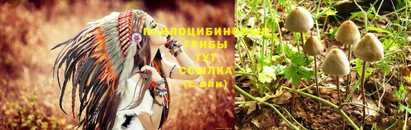 соль ск Алексеевка