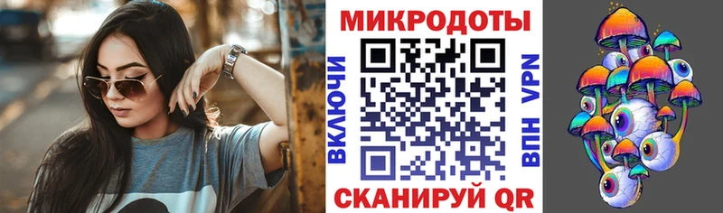 купить цена Камешково Галлюциногенные грибы Cubensis
